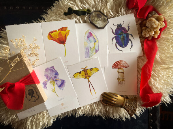 watercolor notecard box set, pagan, witch, botanical illustration, natural illustration, scientific illustration