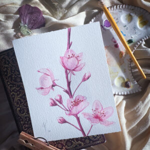 watercolor, botanical art, blossom art, plum blossom , reno artist, reno illustrator, award winning illustration