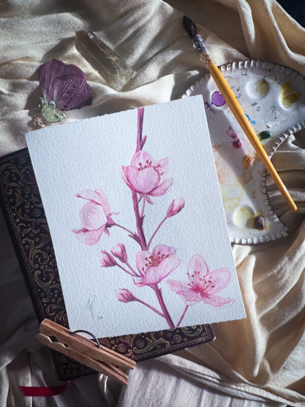 watercolor, botanical art, blossom art, plum blossom , reno artist, reno illustrator, award winning illustration