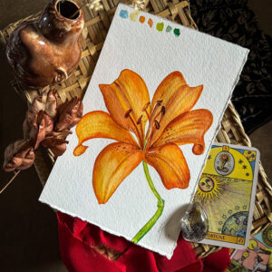 tiger lily, botanical art, watercolor art, collector art