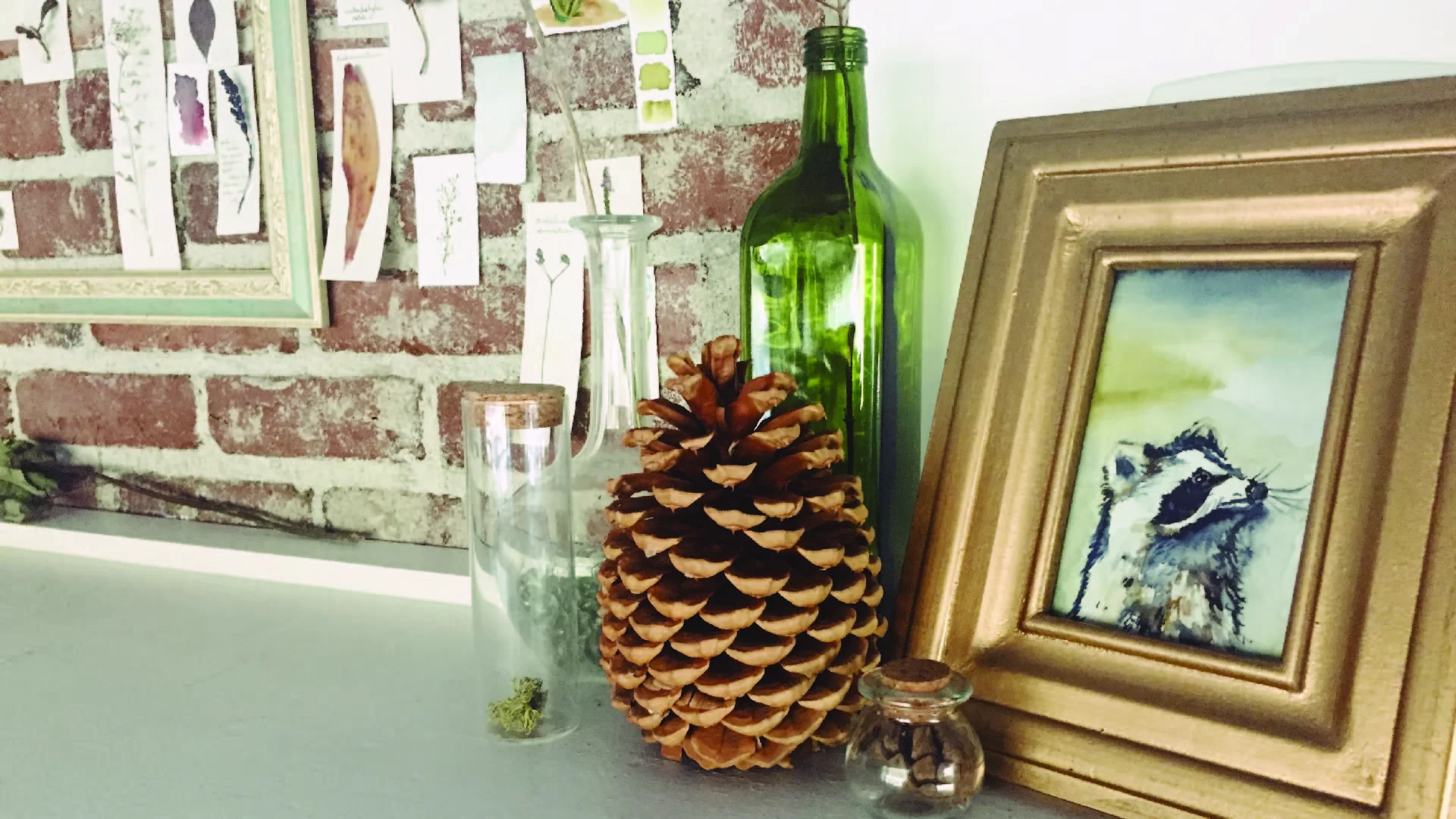 watercolor illustration illustrator design raccoon